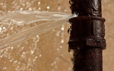 Here are 7 Signs of a Possible Main Water Line Leak in your Home
