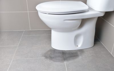 How to Fix a Leaking Toilet Base: The Complete Guide